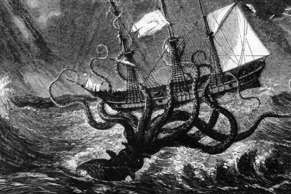 Kraken 5at