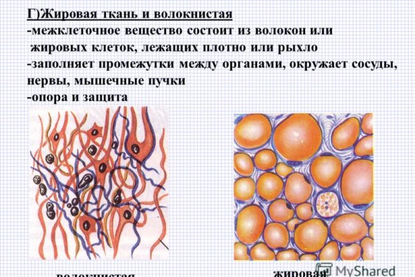 Ссылки мега кракен